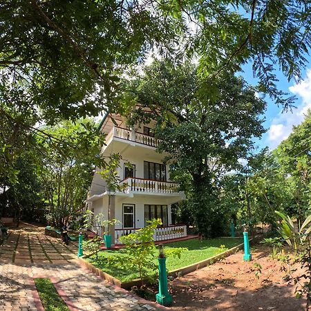 Spice Village Hotel & Restaurant 哈伯勒内 外观 照片