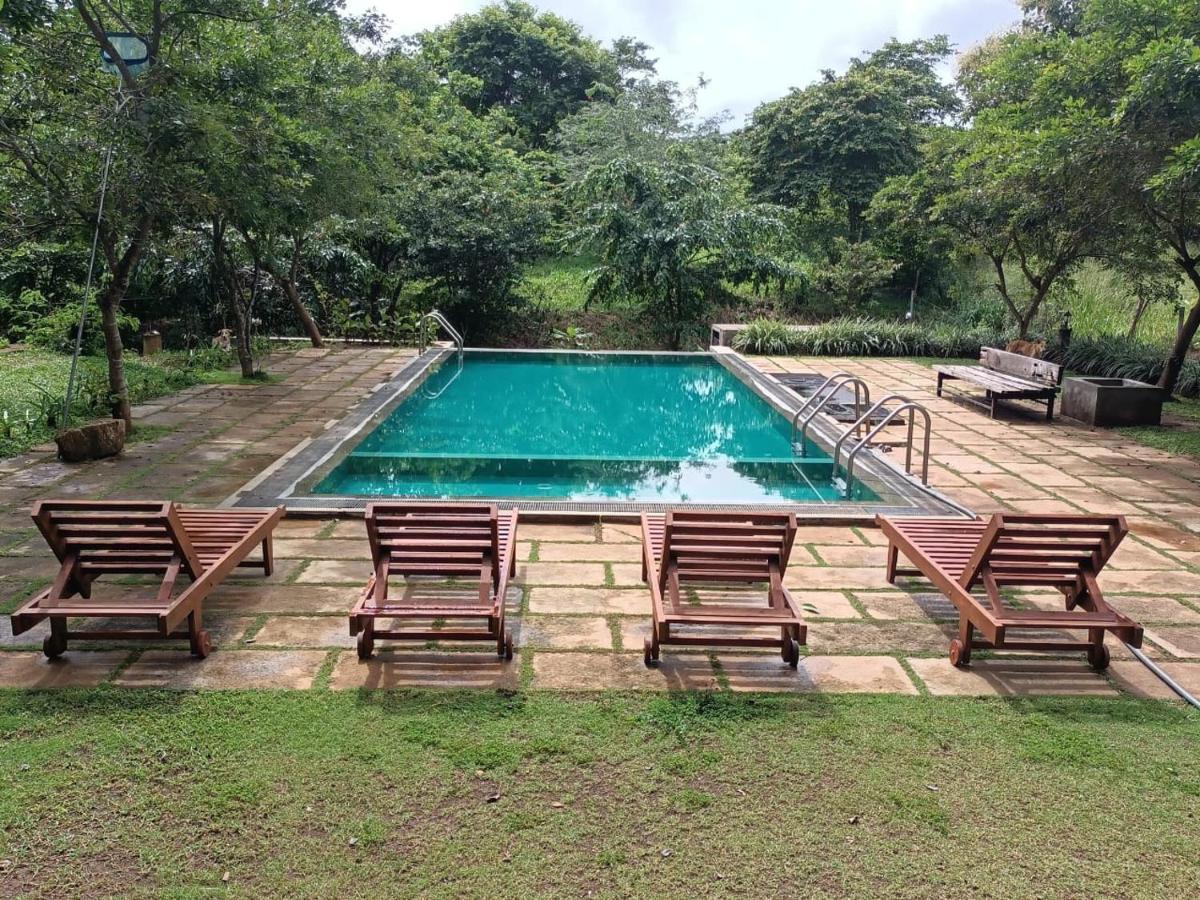 Spice Village Hotel & Restaurant 哈伯勒内 外观 照片