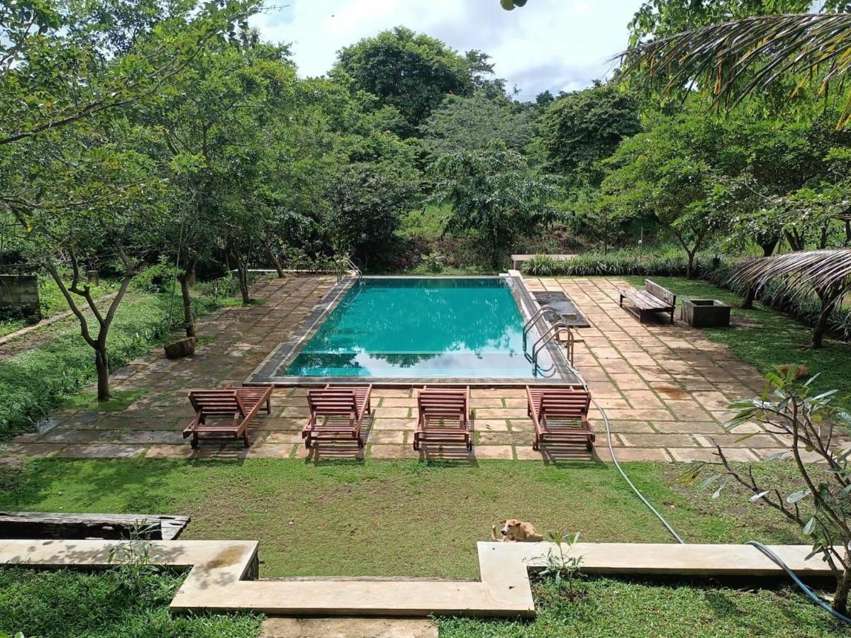 Spice Village Hotel & Restaurant 哈伯勒内 外观 照片