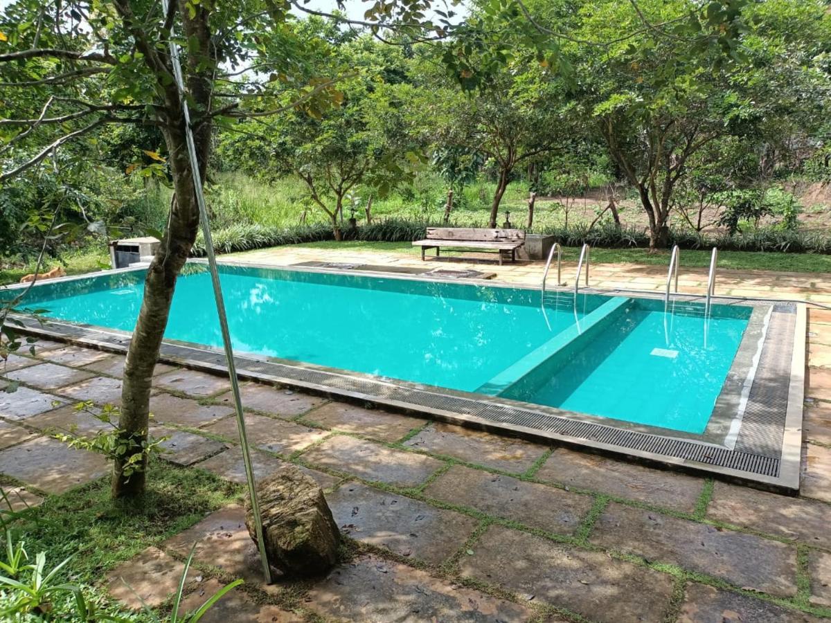 Spice Village Hotel & Restaurant 哈伯勒内 外观 照片